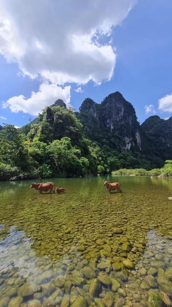 Phong Nha Backpacker Hostel Cu Lac Esterno foto